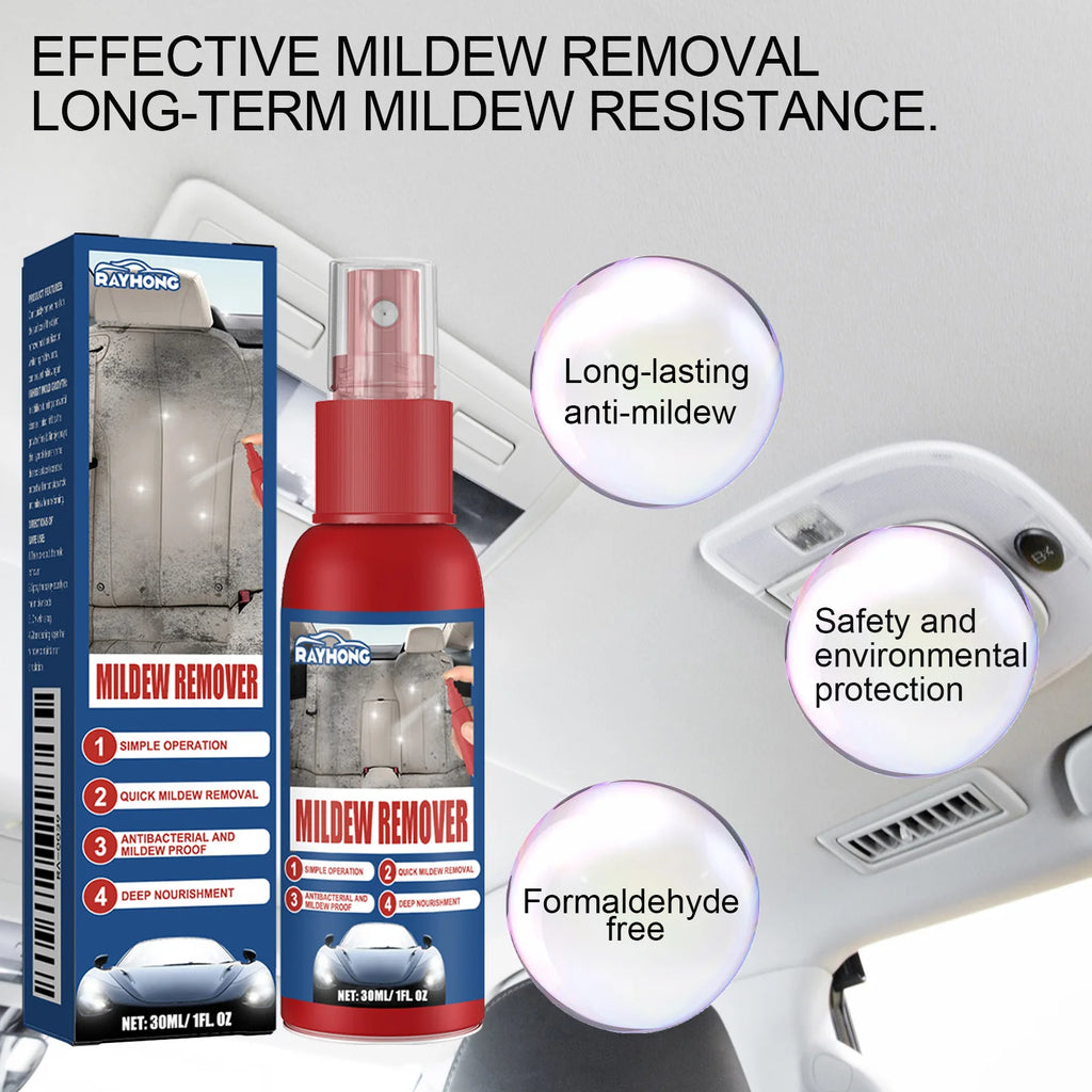 Leather Seat  Mold Remover