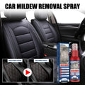 Leather Seat  Mold Remover