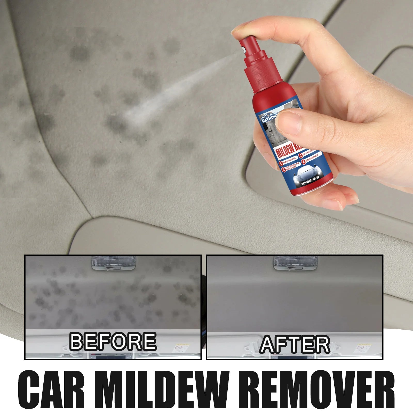 Leather Seat  Mold Remover