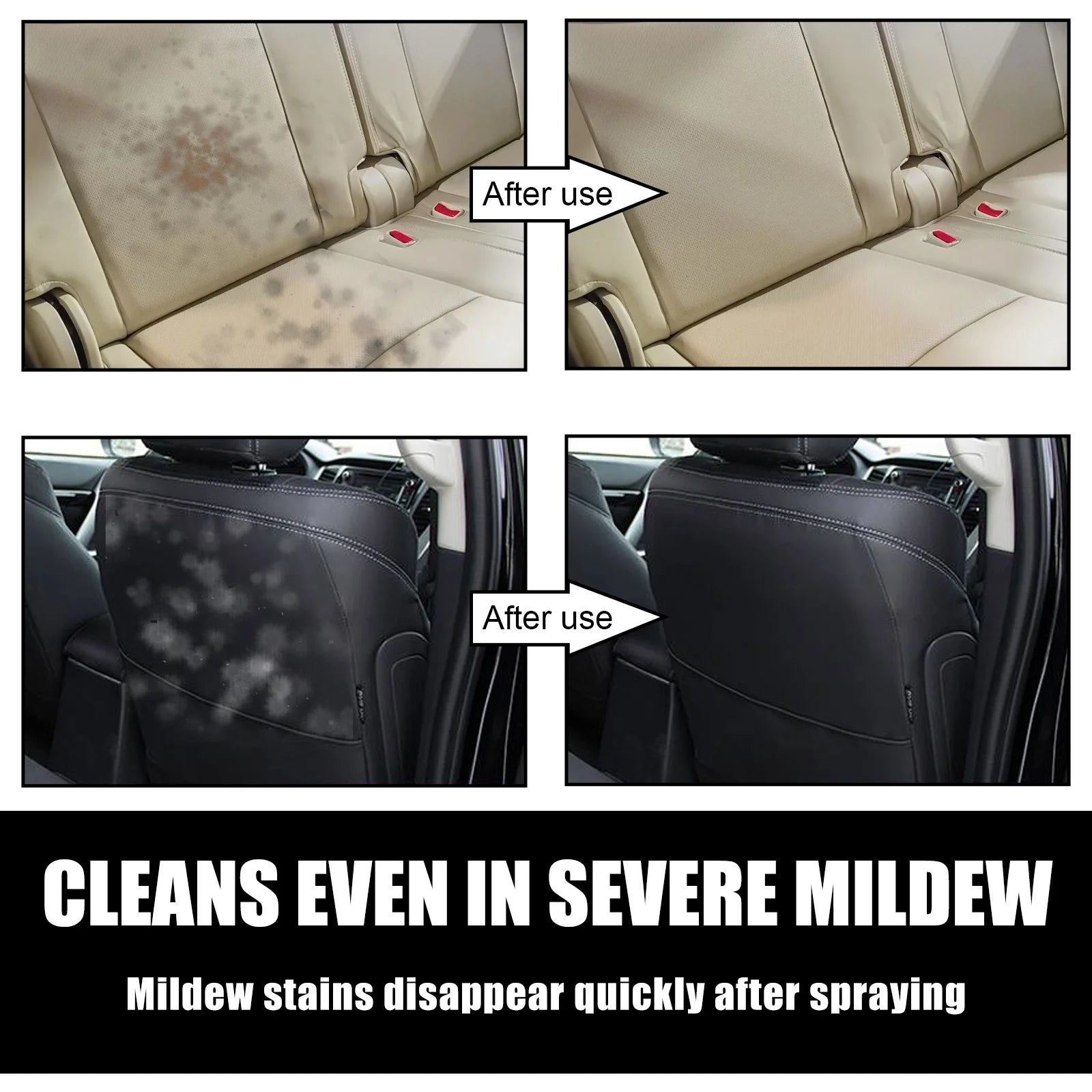 Leather Seat  Mold Remover